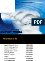 Survey Model Fix A4