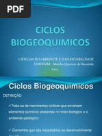 Aula 2 Ciclos Biogeoquimicos