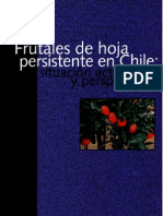 FHP Chile: situación actual e perspectivas