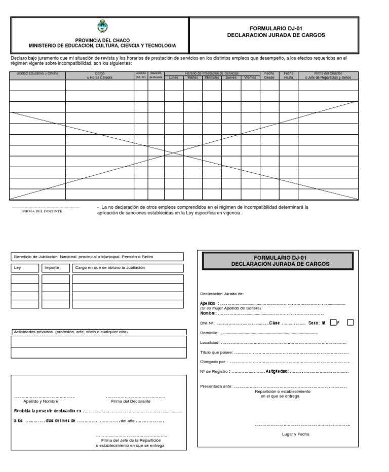 Declaración Jurada Docente Chaco | PDF