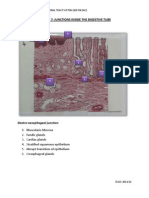 Practical Histology 7