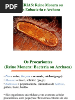 2. Biologia Monera