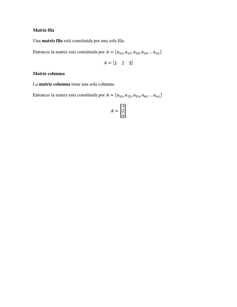 Matriz Fila y Matriz Columna | PDF