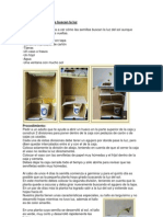 Experimento Planta Busca La Luz 6B