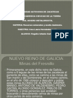 Nuevo Reino de Galicia