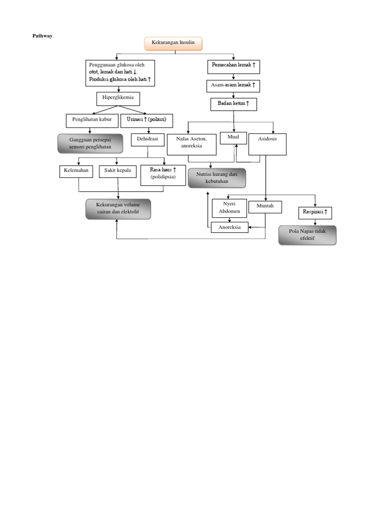 Pathway Ketoasidosis Diabetikum