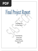 Download Final Report for launching a software house by Amna SN13638946 doc pdf