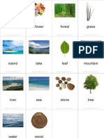 Flashcards Nature Pinyin