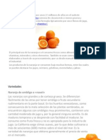 Diapositivas Naranjas