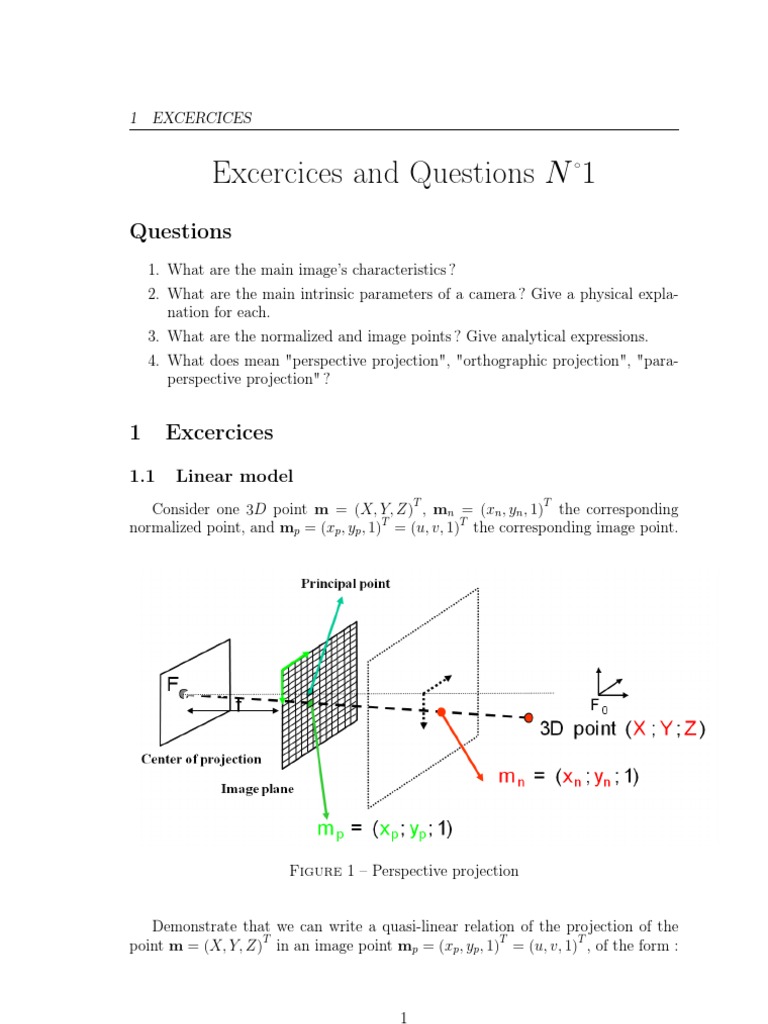 Camera Projection and Optimization Exercises | PDF