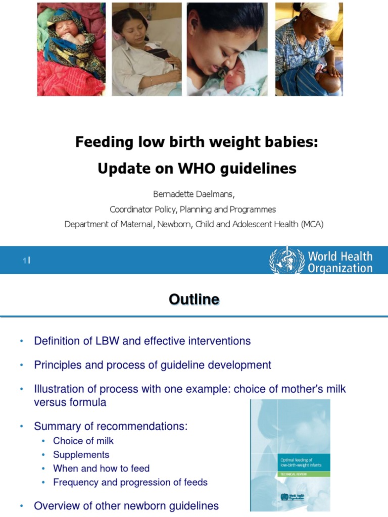 Bernadette Daelmans, WHO Feeding Low Birth Weight Babies Update On