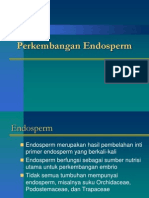 Perkembangan Endosperm