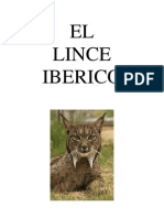 Trabajo Lince Iberico