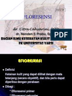 Efloresensi Dr Citra