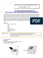 Protocolo Moldes