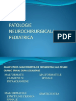 Patologie Neurochirurgicala Pediatrica Si Functionala (Malformatii Congenitale)