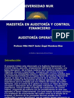 AUDITORIA OPERATIVA (2)