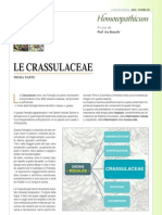 Le Crassulaceae 1°