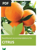 Download Citrus by L Ramirez Perez SN136495282 doc pdf