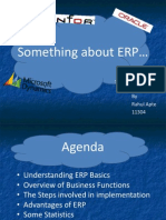 Something About ERP