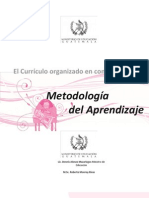 Metodologia Del Aprendizaje