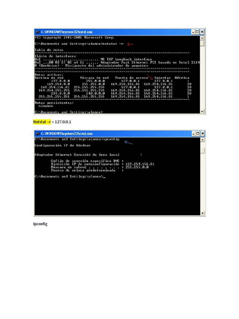 Understanding Netstat and Ipconfig Commands | PDF