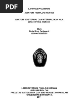 Download ANATOMI EKSTERNAL DAN INTERNAL IKAN NILA Oreochromis niloticus by Dini QHy SN136559832 doc pdf