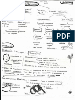 Resumen Bases Semestre 1