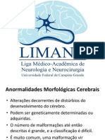 Anormalidades Morfológicas Cerebrais