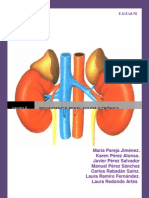 1.4 Grupo6 Insuficiencia Renal