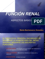 Funcion Renal