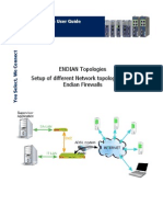 Aug 027 0 en (Endian Topologies)