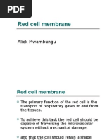Download RBC Membrane by mwambungup SN13659089 doc pdf