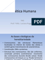 bases citológicas da hereditariedade