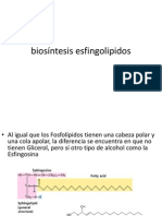 biosíntesis esfingolipidos