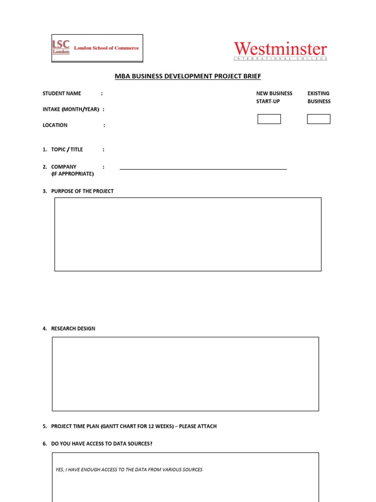 MBA Business Development Project Brief | PDF | Business