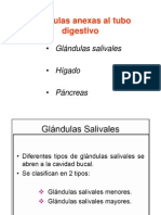 Clase 8 GL - Salivales y Pancreas 2011