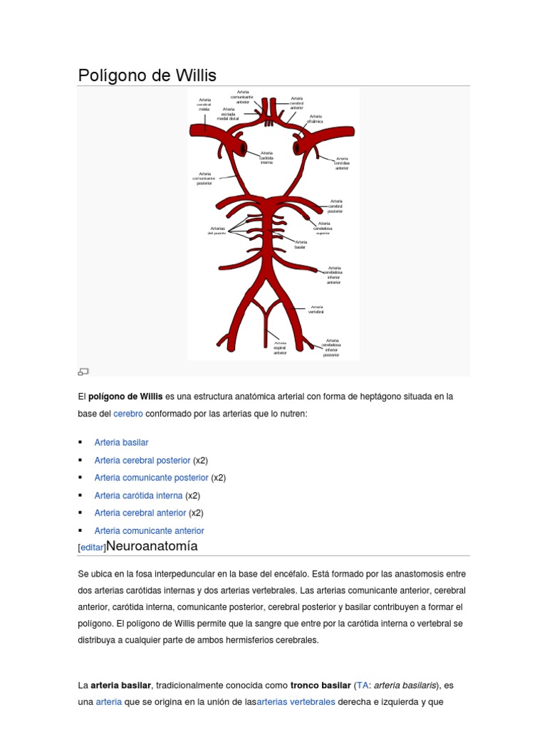 Polígono de Willis