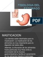 Fisiologia Del Estomago