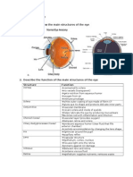 Identify and Draw The Main Structures of The Eye