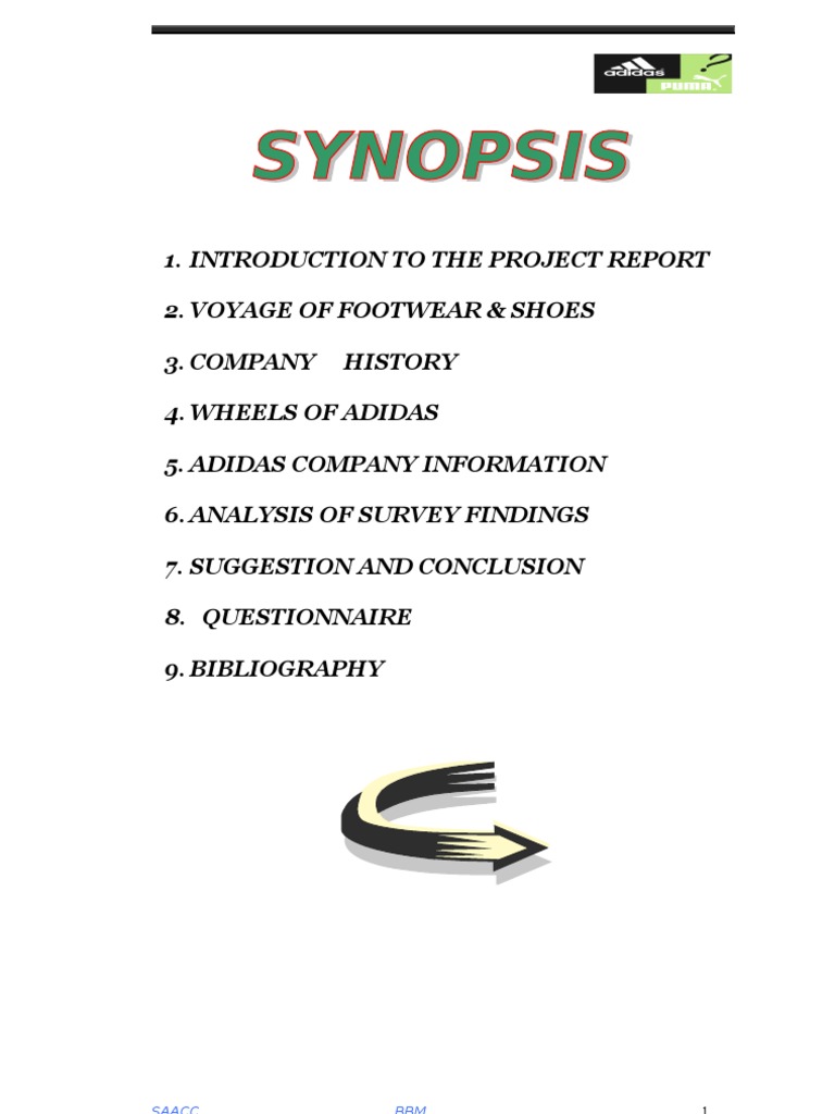 project report on footwear company