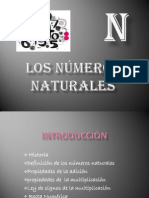 Numerosnaturales 120409230005 Phpapp02