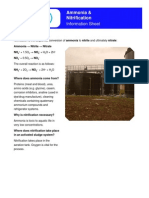 Ammonia to Nitrate: Nitrification Process