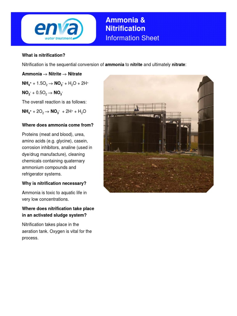 Ammonia and Nitrification | PDF | Sewage Treatment | Nitrate