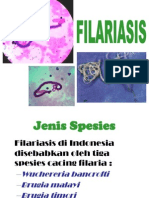 Filaria Morfologi Filaria