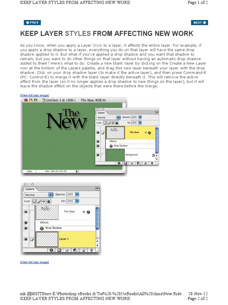 Prevent Layer Styles in Photoshop | PDF