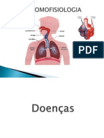 Sistema Respiratório Slide