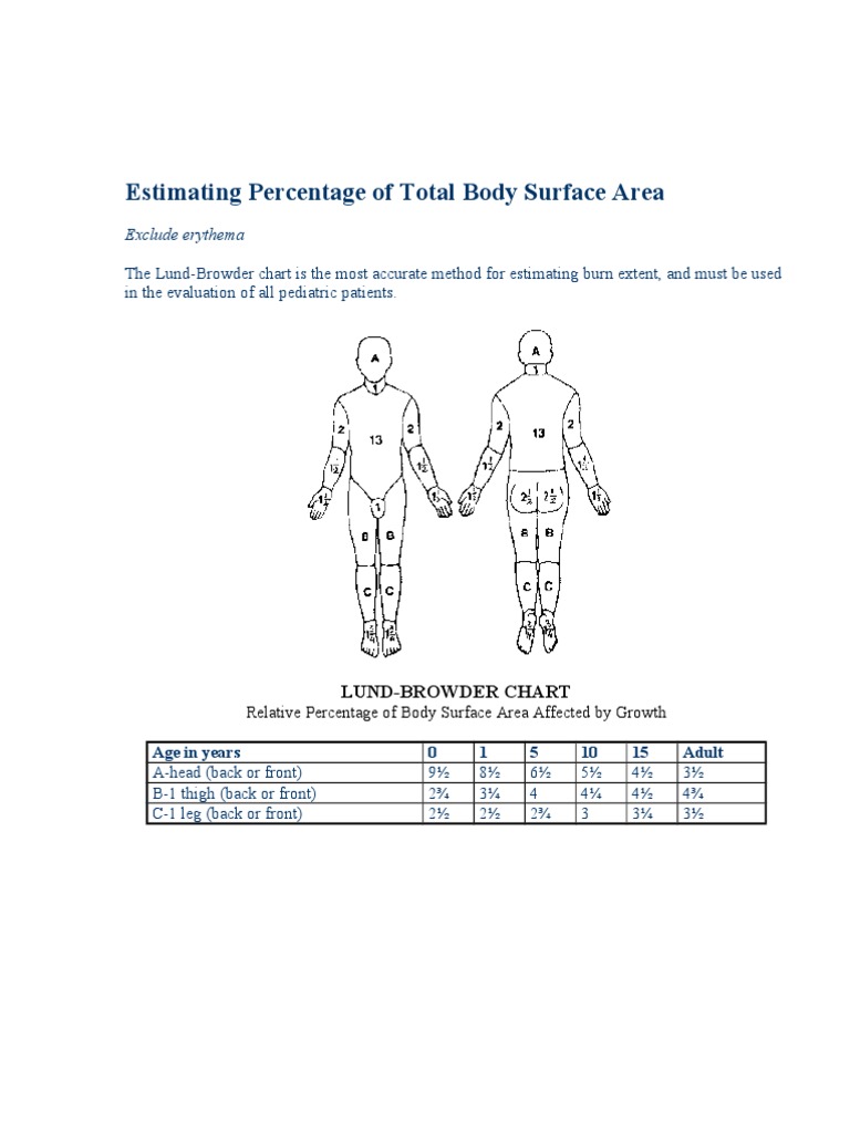 A Comprehensive Guide to Estimating Burn Extent, Classifying Burn Depth