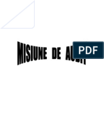 Misiune de Audit - Achizitii Publice