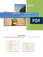 Reporte PavimentacionFinal 070313